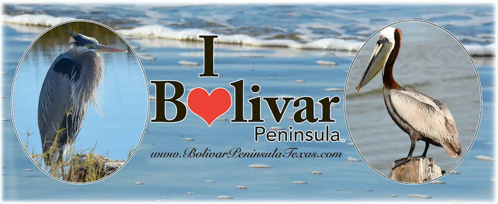 i_love_bolivar_1