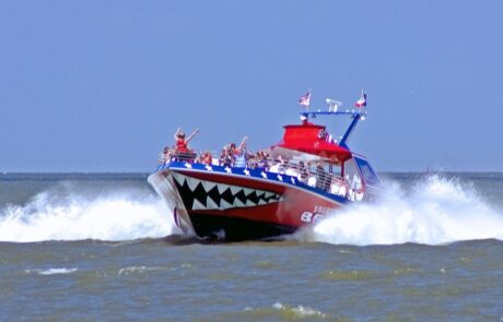 imgi_18_Bay-Area-Image-Panel-2018424_121317_1_11