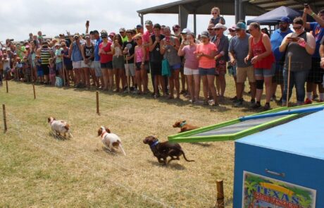 imgi_93_Event-Texas-Crab-2020312_145857_1_4