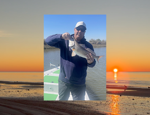 East Galveston Fishing Report Week Ending February 16, 2026