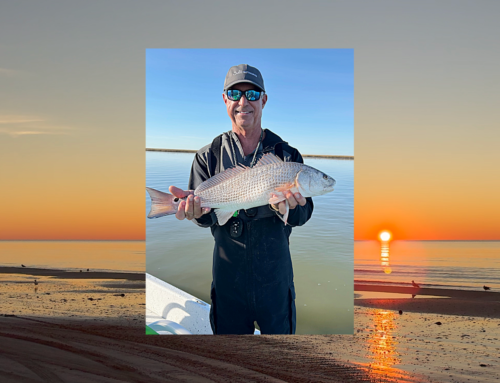 Weekly East Bay Fishing Report February 1, 2026