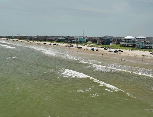 Spring Break Bolivar Peninsula Texas 2026: The Ultimate Local Guide