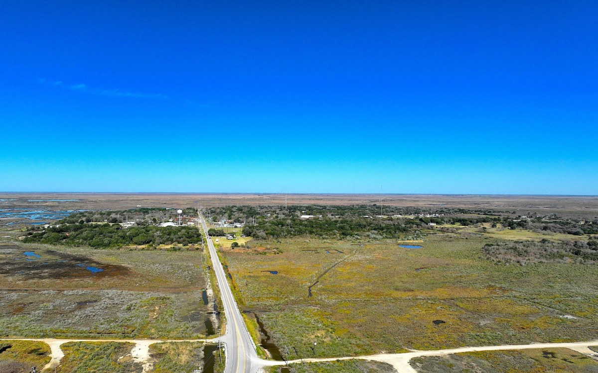High Island Texas Birding