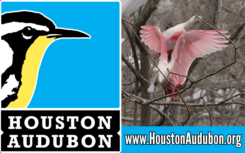 Houston Audubon Sponsor