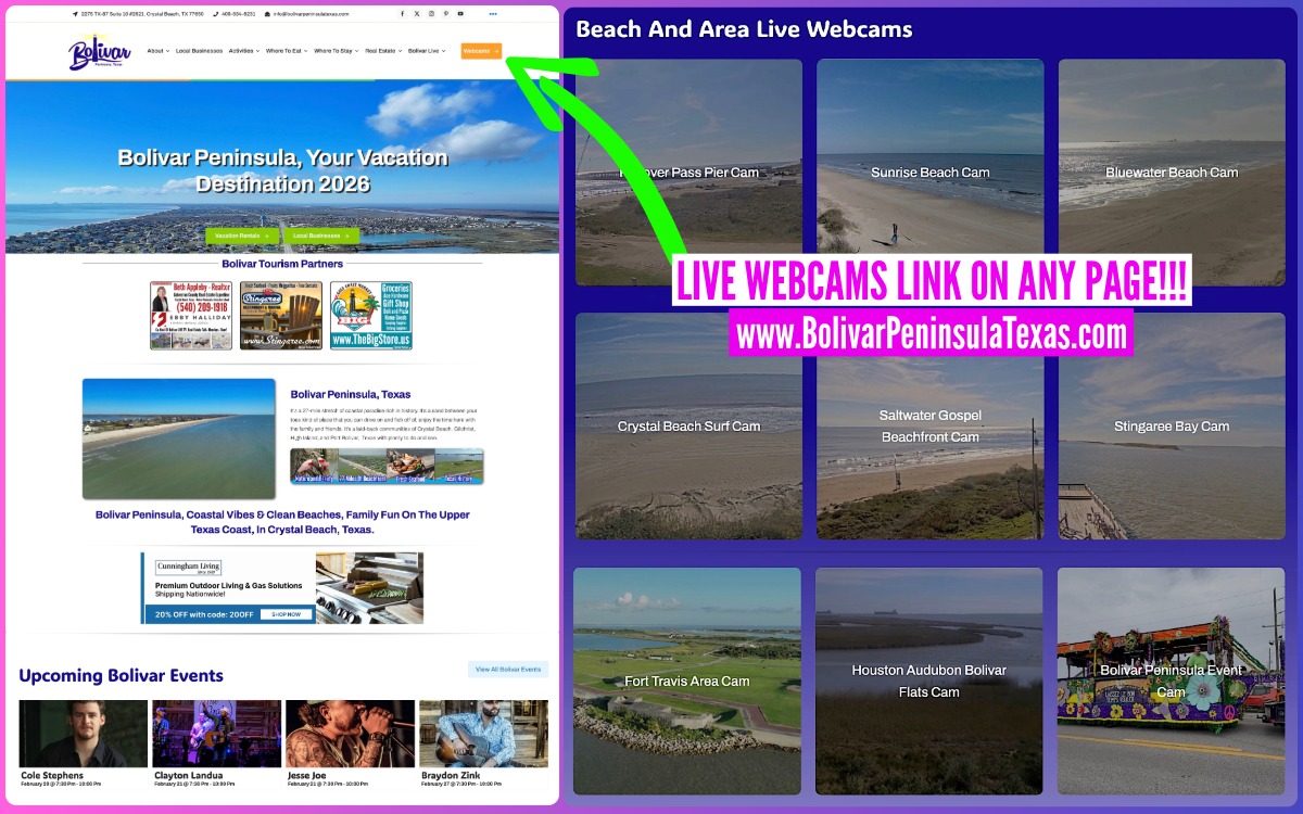Website Promo Front Page and Webcams