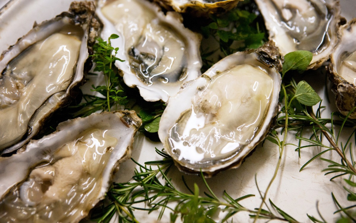 Raw Oysters on the Half Shell ready to eat