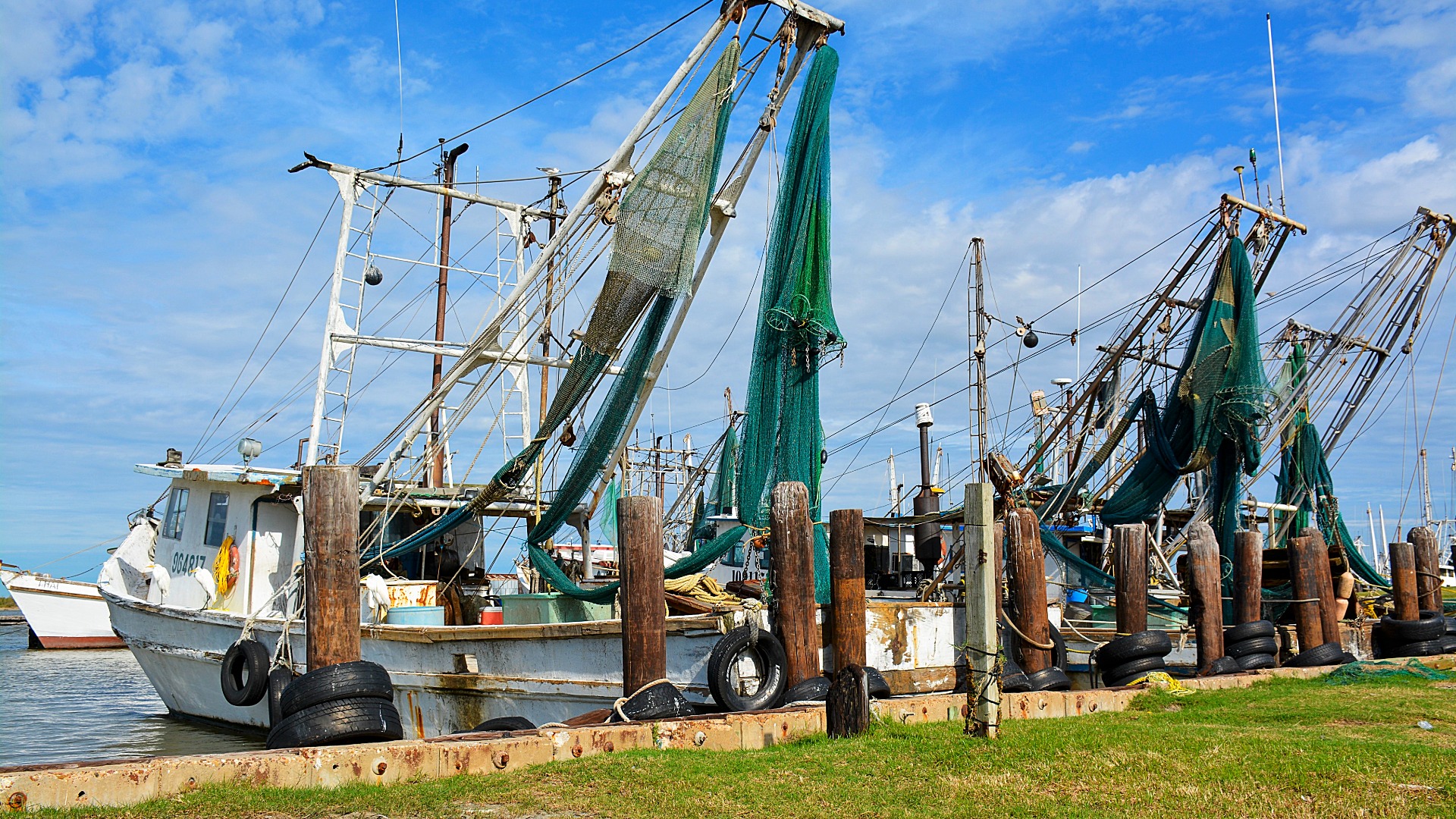 twp shrimp boats backed into dock
