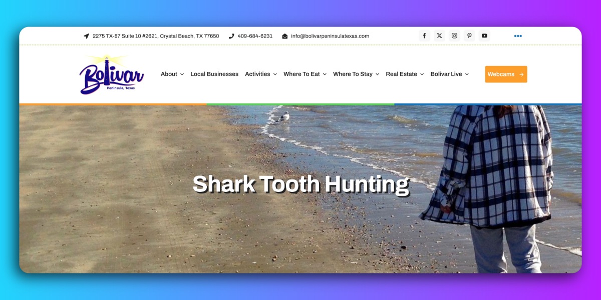 Shell and Shark tooth hunting on Bolivar Peninsula