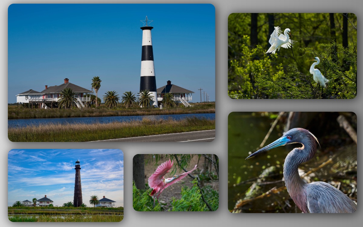 Art Gallery One Of A Kind Bolivar Peninsula