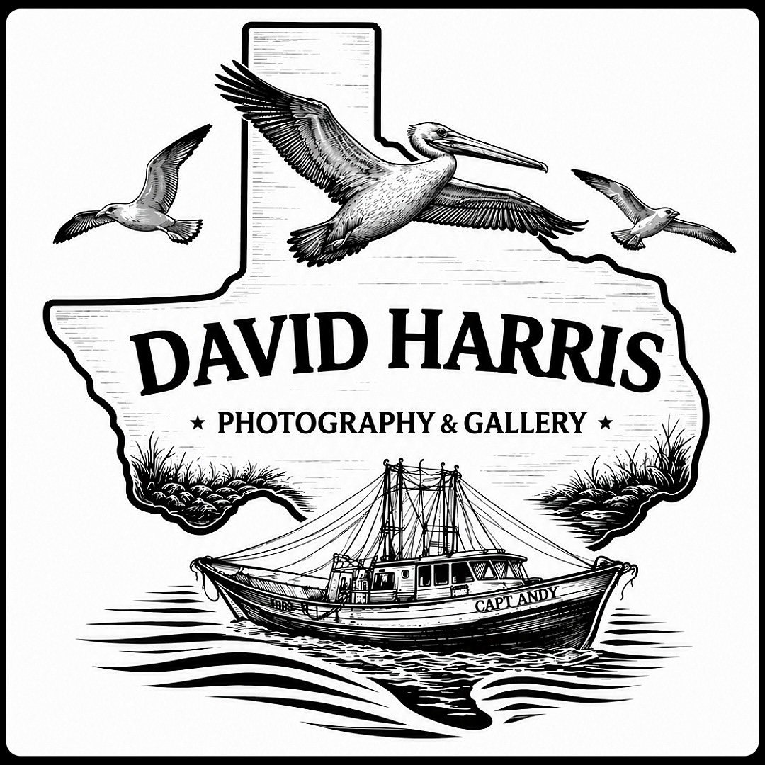 David harris Photography and Gallery Crystal Beach Texas
