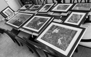 Photographic Art Gallery Crystal Beach, Texas