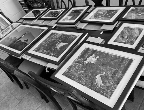 New Art Gallery Opens at Bolivar Peninsula Tourism and Visitors Center