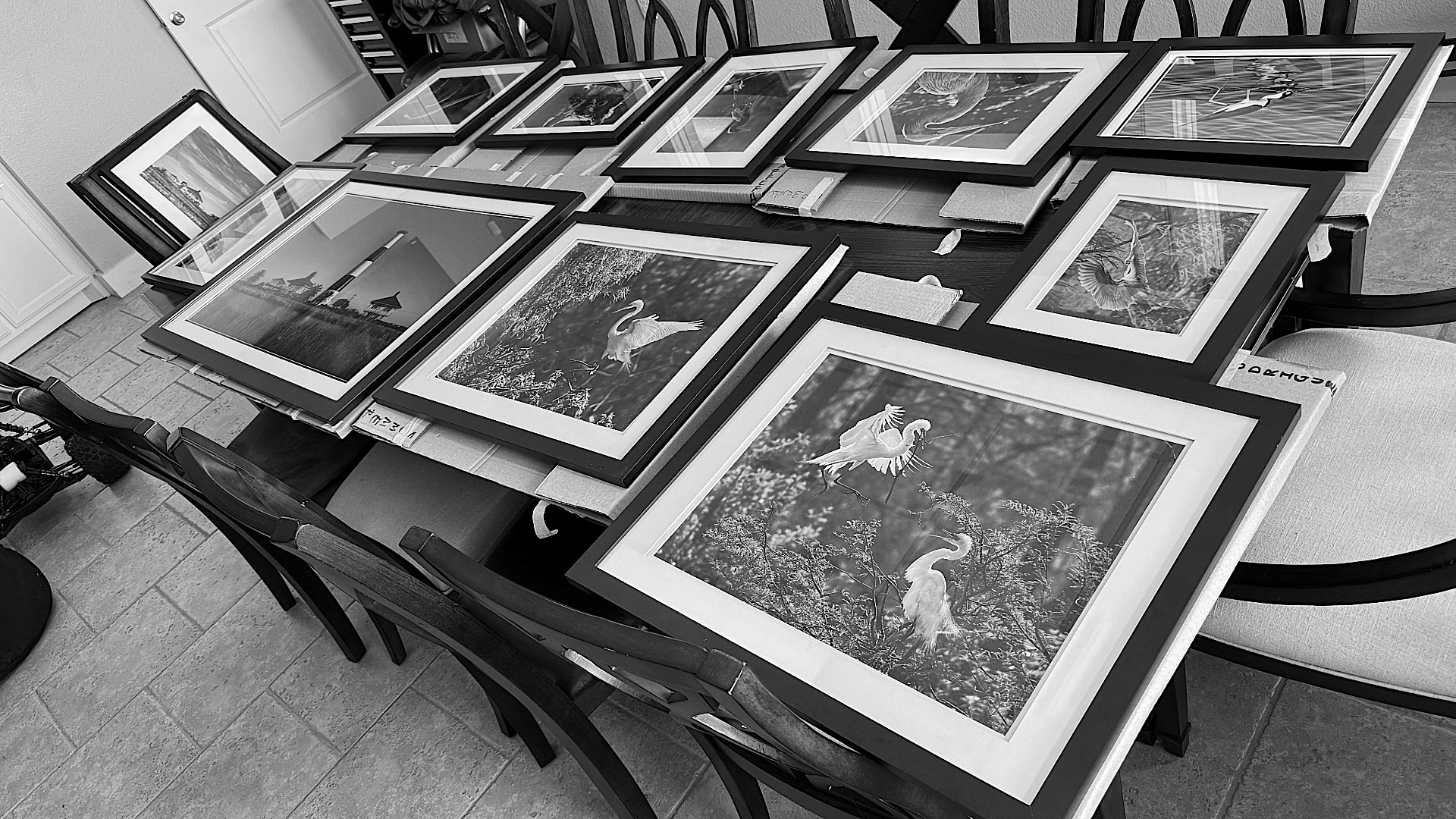 Photographic Art Gallery Crystal Beach, Texas