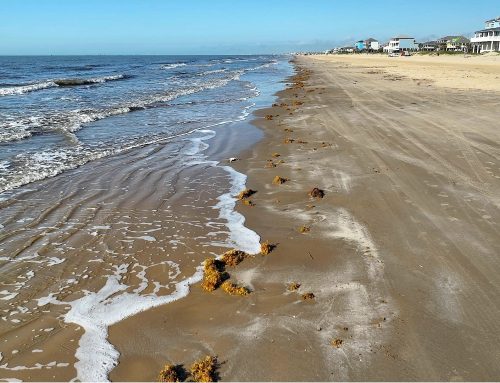 Weekend Getaway to Bolivar Peninsula, A Quick Beach Escape from Houston, Texas