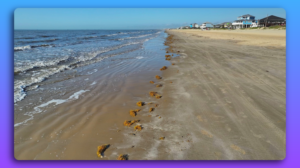 Surf Beachfront Wash Bolivar Peninsula